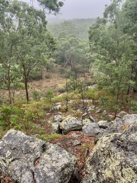 Yarra and Plenty Valley Parklands